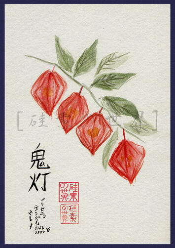 鬼灯 鬼灯