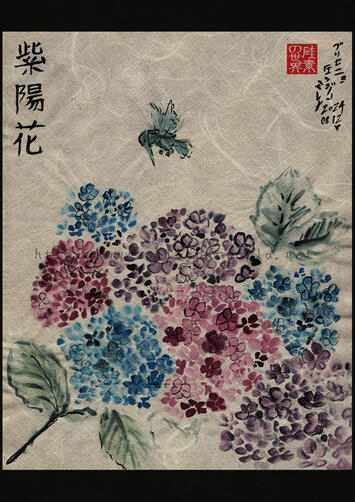 紫陽花 紫陽花